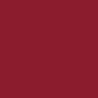 Lippy Love Matte Finish Lipstick
