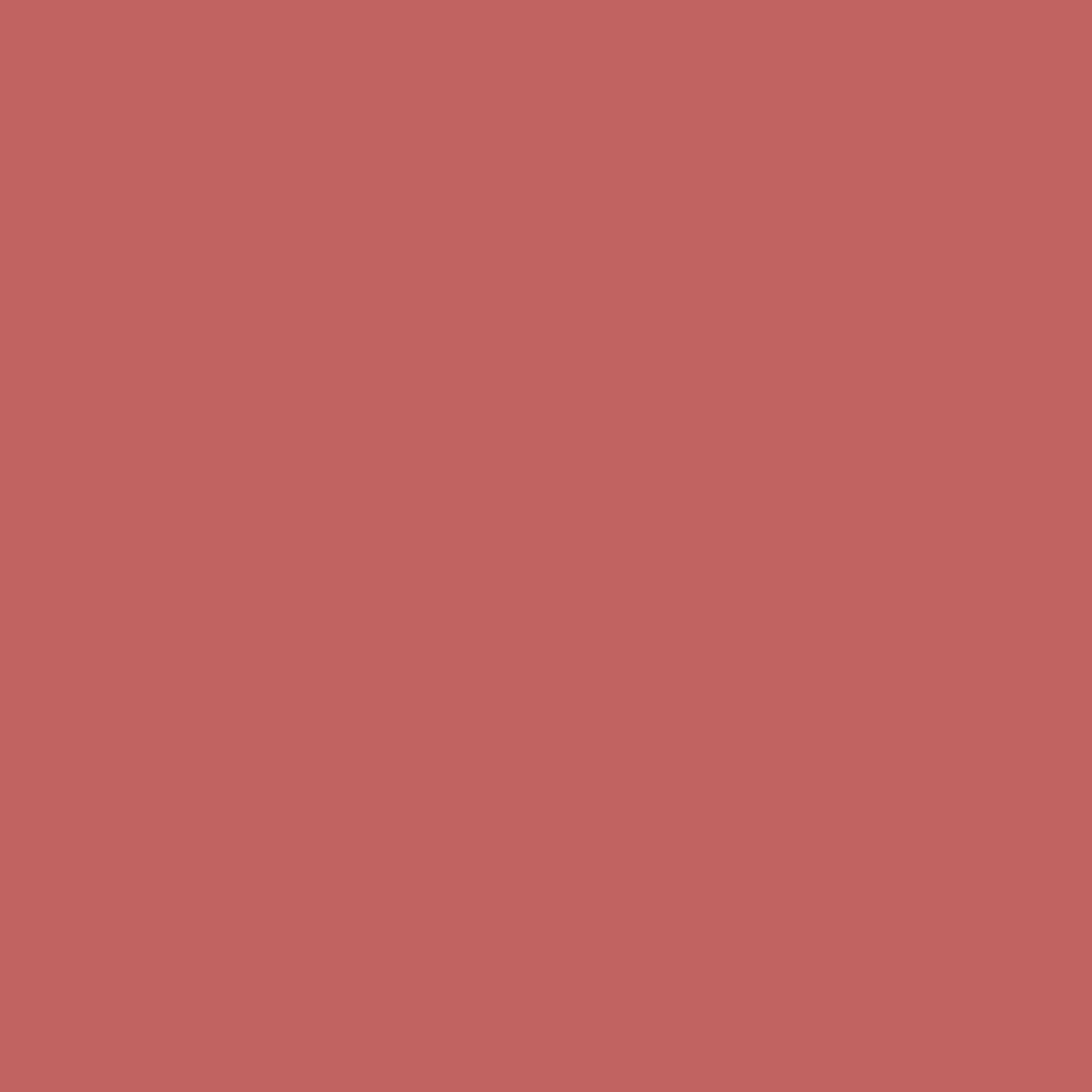 Lippy Love Matte Finish Lipstick