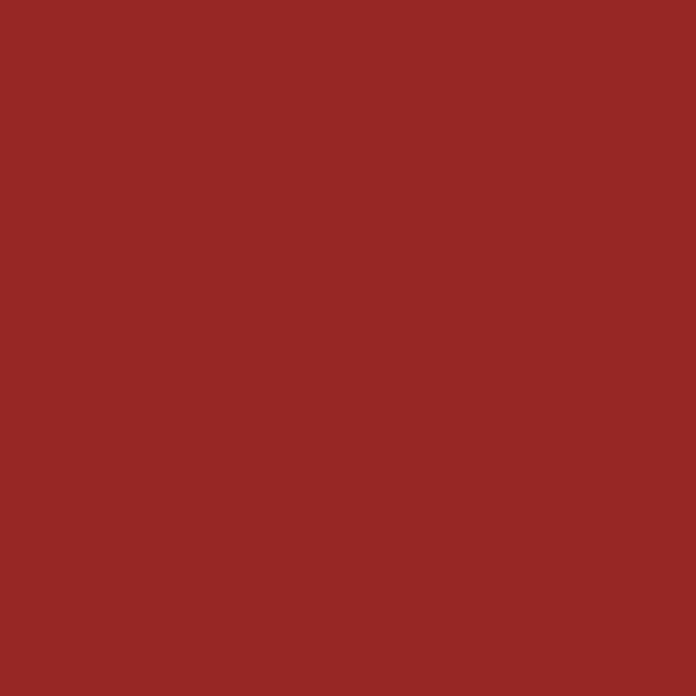Lippy Love Matte Finish Lipstick